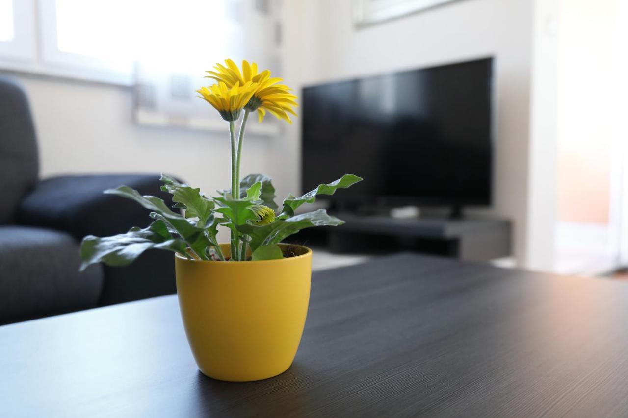 Apartment Dora Preko Extérieur photo
